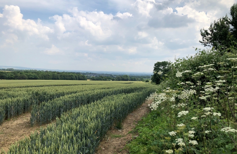 Keeping our countryside tidy