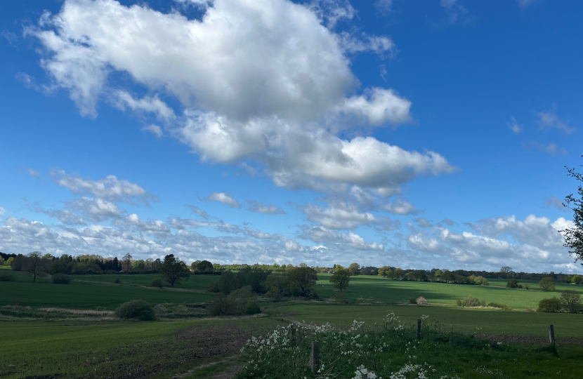 View to Ingatestone