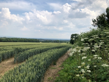 Keeping our countryside tidy